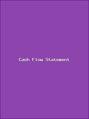 Cash Flow Statement
